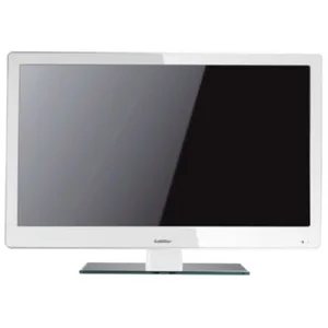 goldstar LD-19A305R