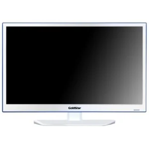 goldstar LT-24T409R