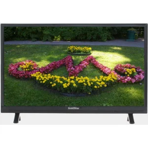 goldstar LT-24T450R