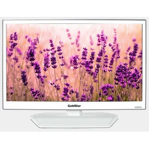 goldstar LT-28T405R