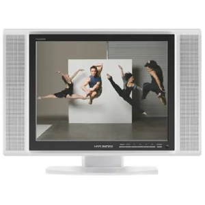 hyundai LCD2008