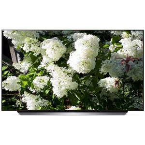 lg OLED48C24LA