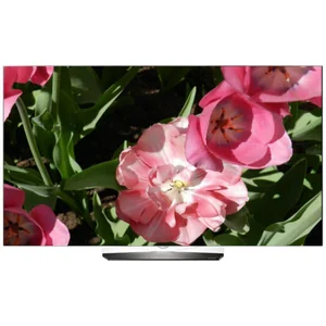 lg OLED55B6V