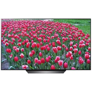 lg OLED55B8