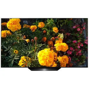 lg OLED55BXRLB