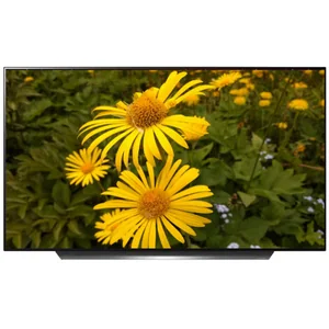 lg OLED55C9MLB