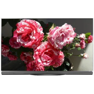 lg OLED55E6V