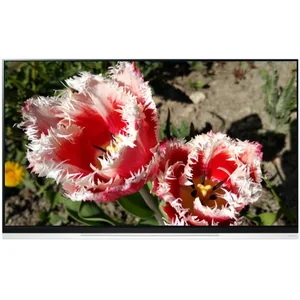 lg OLED55E9P