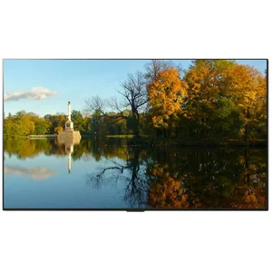 lg OLED55G1RLA