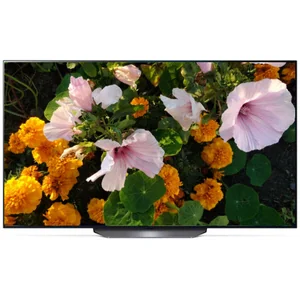 lg OLED65B2RLA