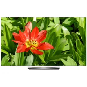 lg OLED65B6V