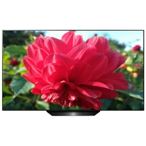 lg OLED65BXRLB