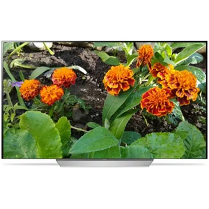 lg OLED65C7V