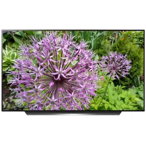 lg OLED65C9MLB