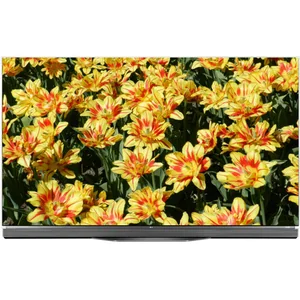 lg OLED65E6V