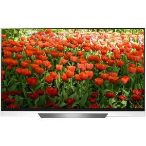 lg OLED65E8