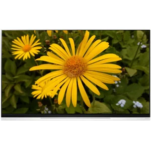 lg OLED65E9P