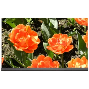lg OLED65G6V