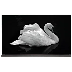 lg OLED77G7V