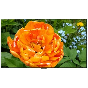 lg OLED77GXR