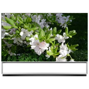 lg OLED88Z9