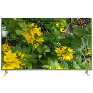 panasonic TX-43FX613E
