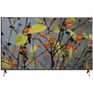 panasonic TX-49FX700E