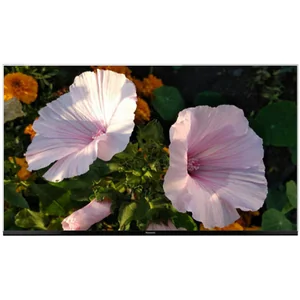 panasonic TX-49FX740E