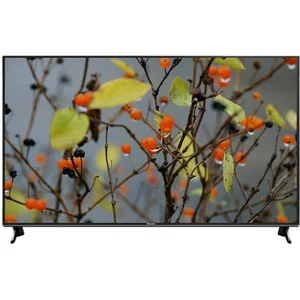 panasonic TX-55FX600E