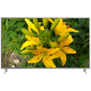 panasonic TX-55FX613E