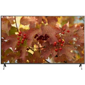 panasonic TX-55FX700E