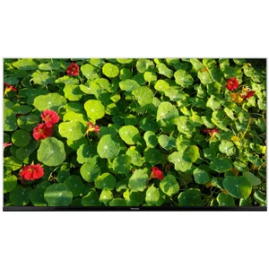 panasonic TX-55FX740E