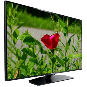 philips HFL3011T