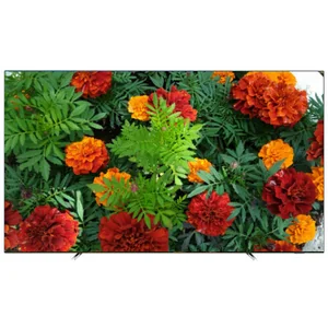philips OLED754
