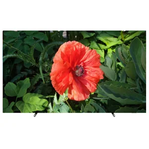 philips OLED805