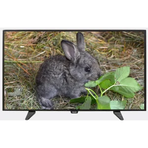 philips PFT4101