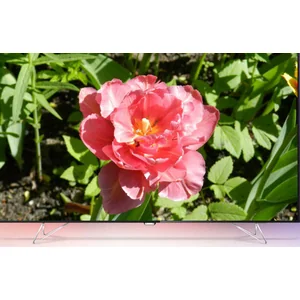 philips PUS8901