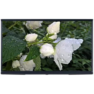 samsung QE49LS01RBU