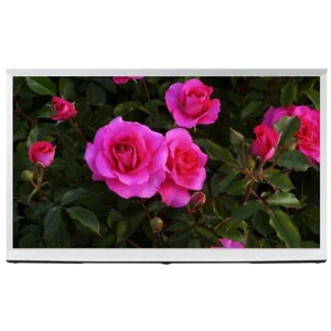 samsung QE49LS01TAU