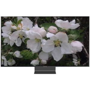 samsung QE65Q90RAU