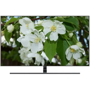 samsung QE65Q9FNA