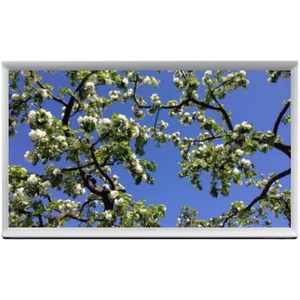 samsung UE24LS001AU