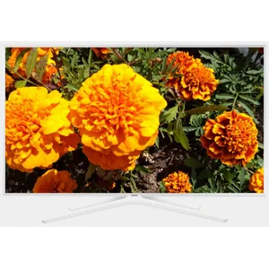 samsung UE49N5510AU