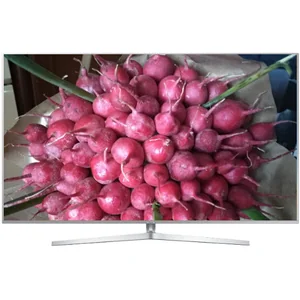 samsung UE65MU8005T