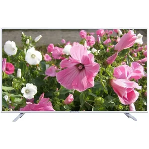 shivaki STV-43LED16