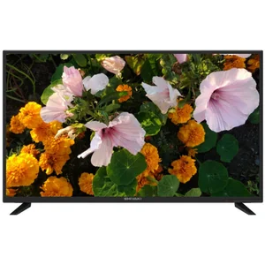 shivaki STV-43LED35