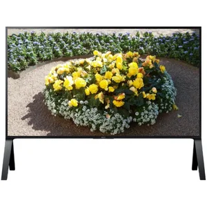 sony KD-100ZD9