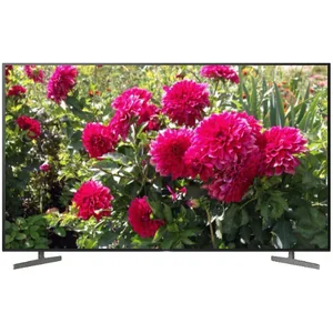sony KD-49XH8196