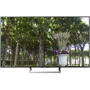sony KD-55XE8599