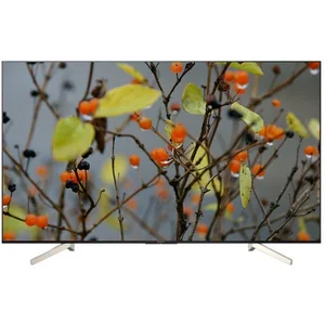 sony KD-55XF8596